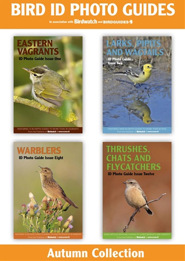 Bird ID Photo Guides issue 