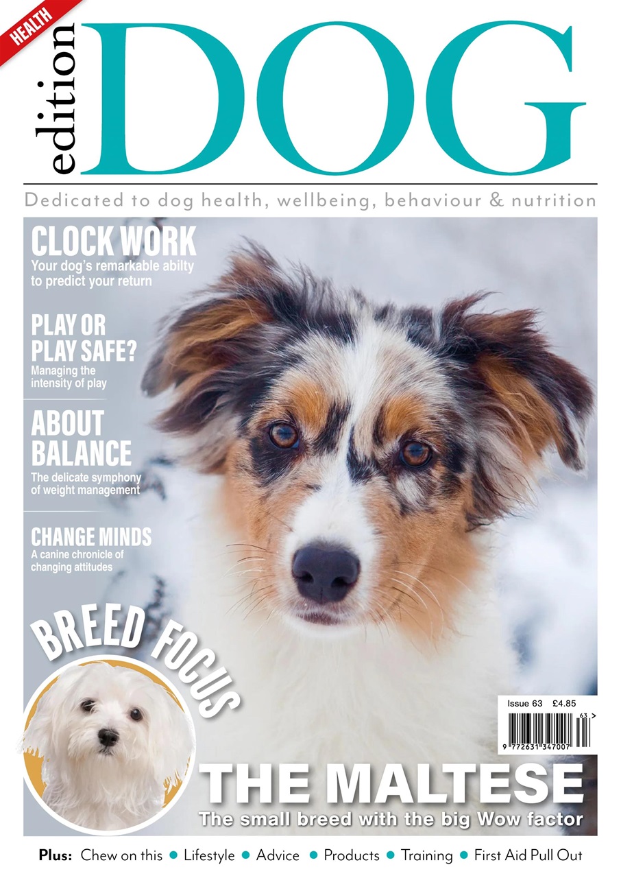 Edition Dog Preview Pages