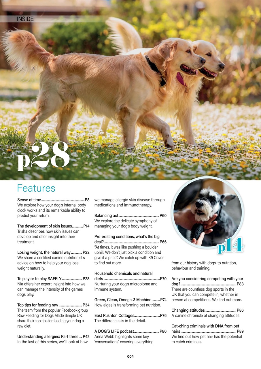 Edition Dog Preview Pages