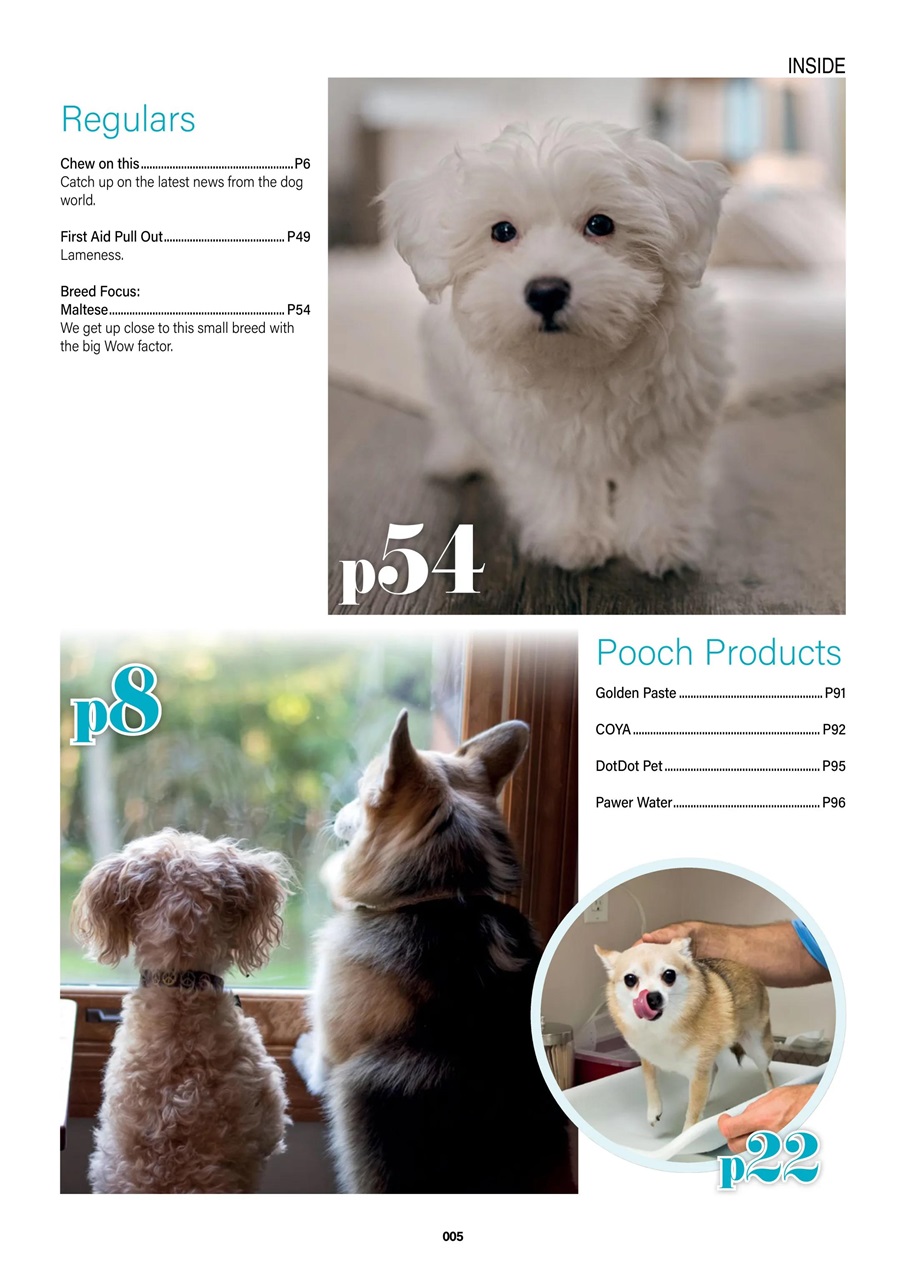 Edition Dog Preview Pages