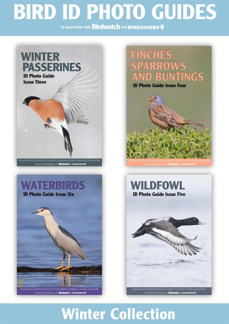 Bird ID Photo Guides Preview Pages