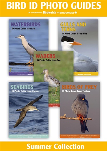Bird ID Photo Guides issue 