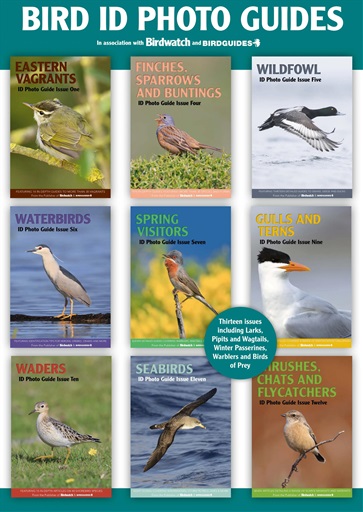Bird ID Photo Guides issue 