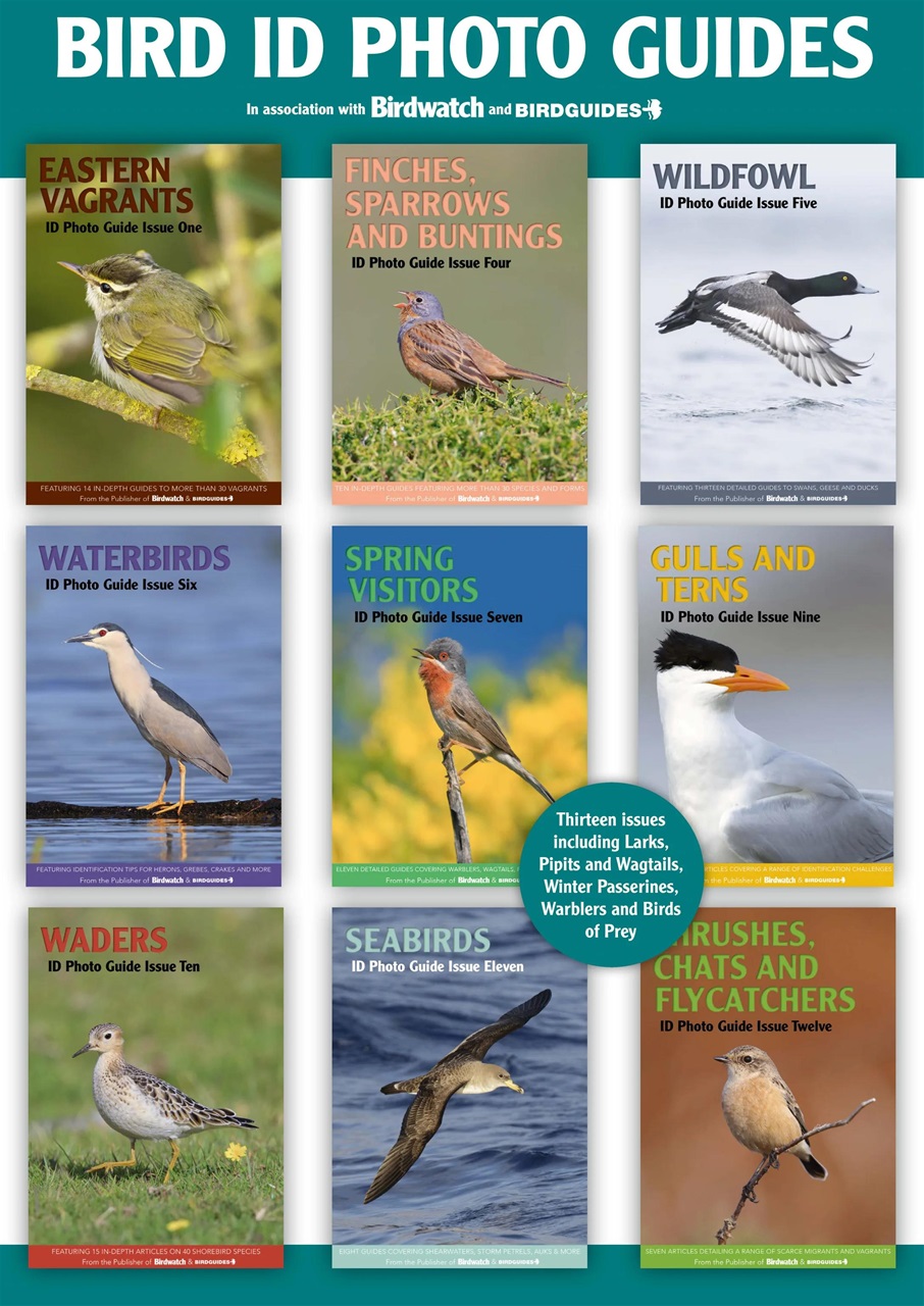 Bird ID Photo Guides Preview Pages