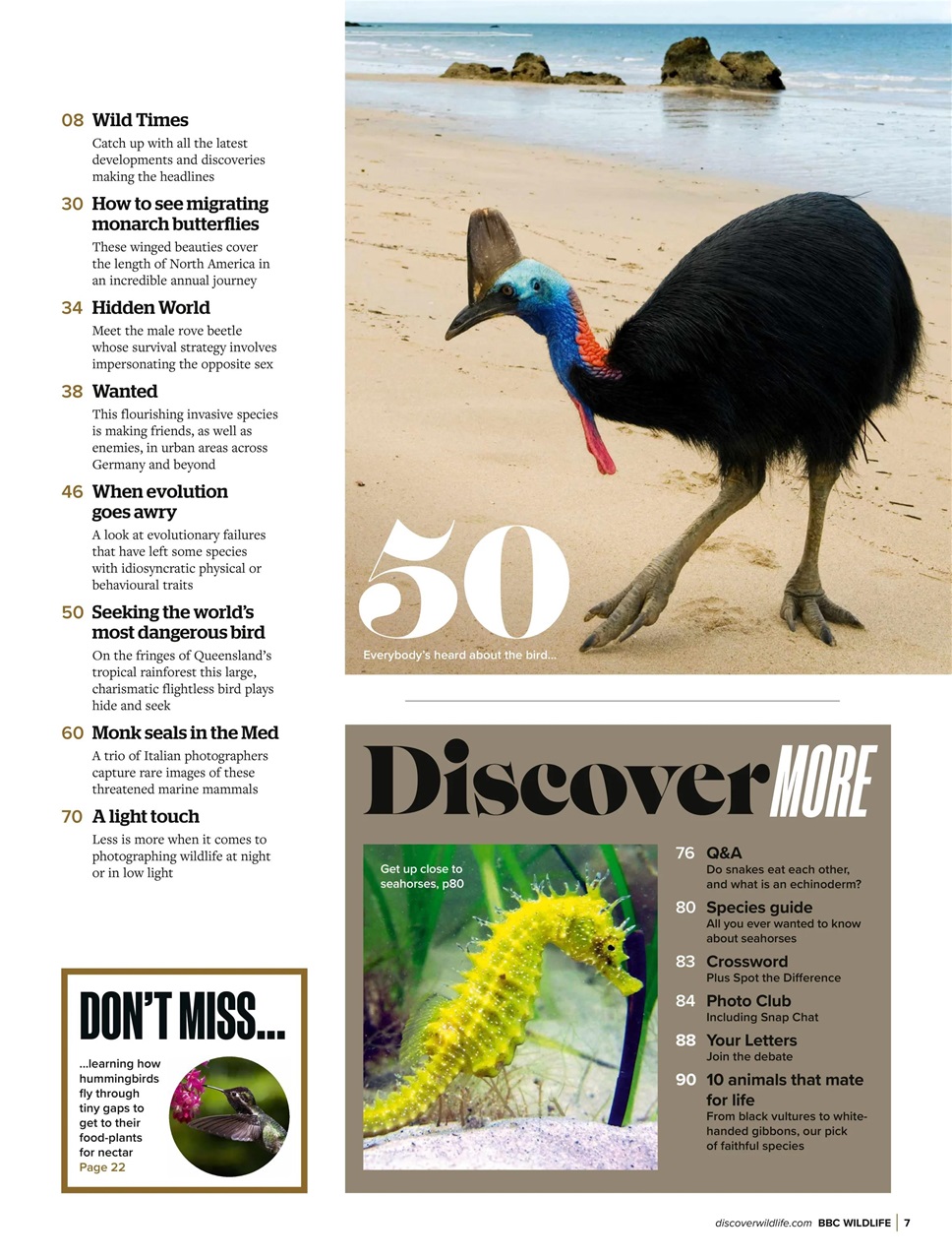 BBC Wildlife Magazine Preview Pages