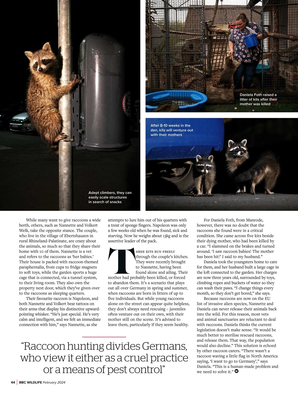 BBC Wildlife Magazine Preview Pages