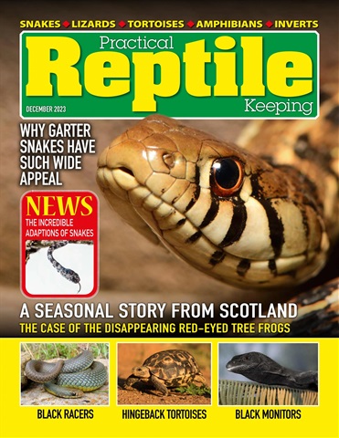 Practical Reptile Keeping issue December 2023