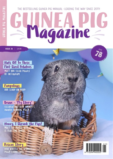 Guinea Pig Magazine issue 