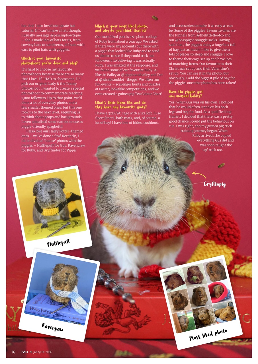 Guinea Pig Magazine Preview Pages