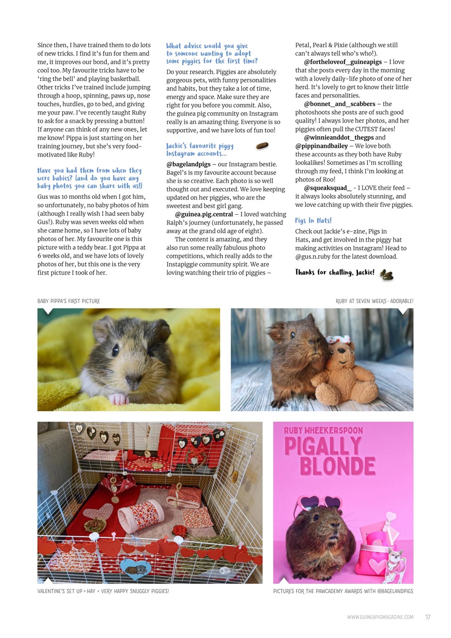 Guinea Pig Magazine Preview Pages