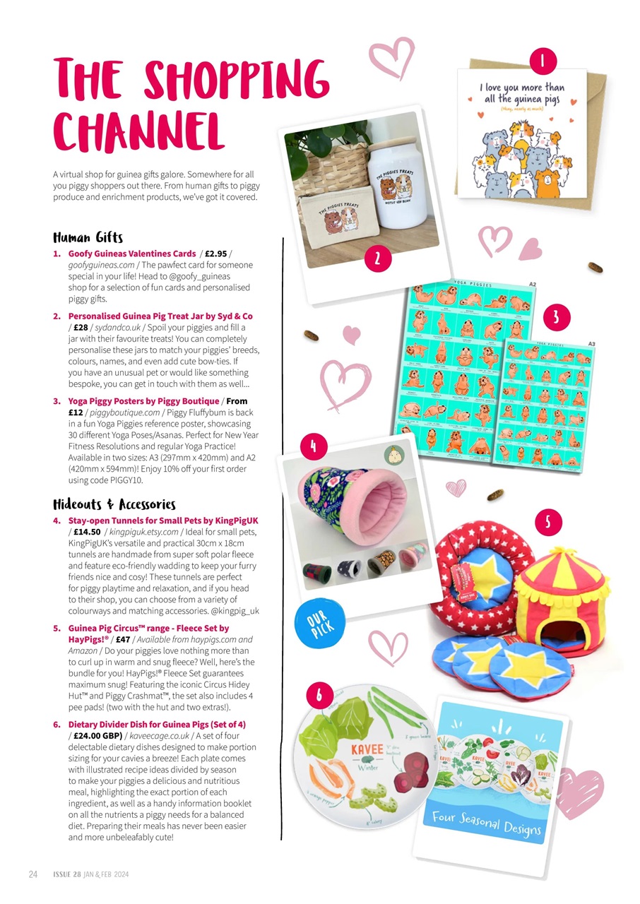 Guinea Pig Magazine Preview Pages