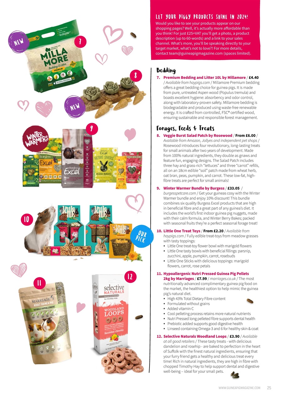 Guinea Pig Magazine Preview Pages