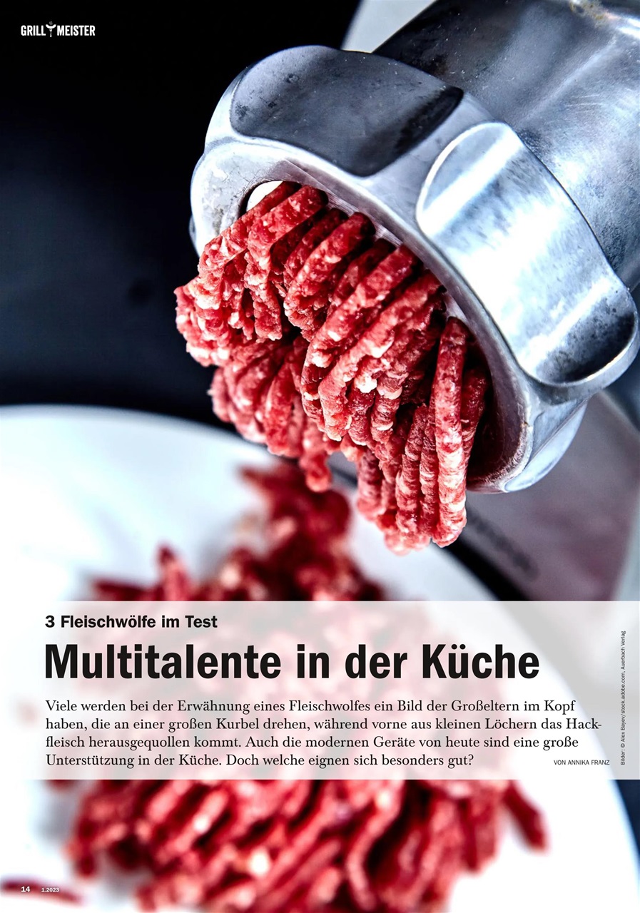 Grillmeister Preview Pages