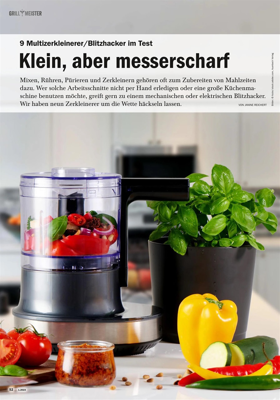 Grillmeister Preview Pages