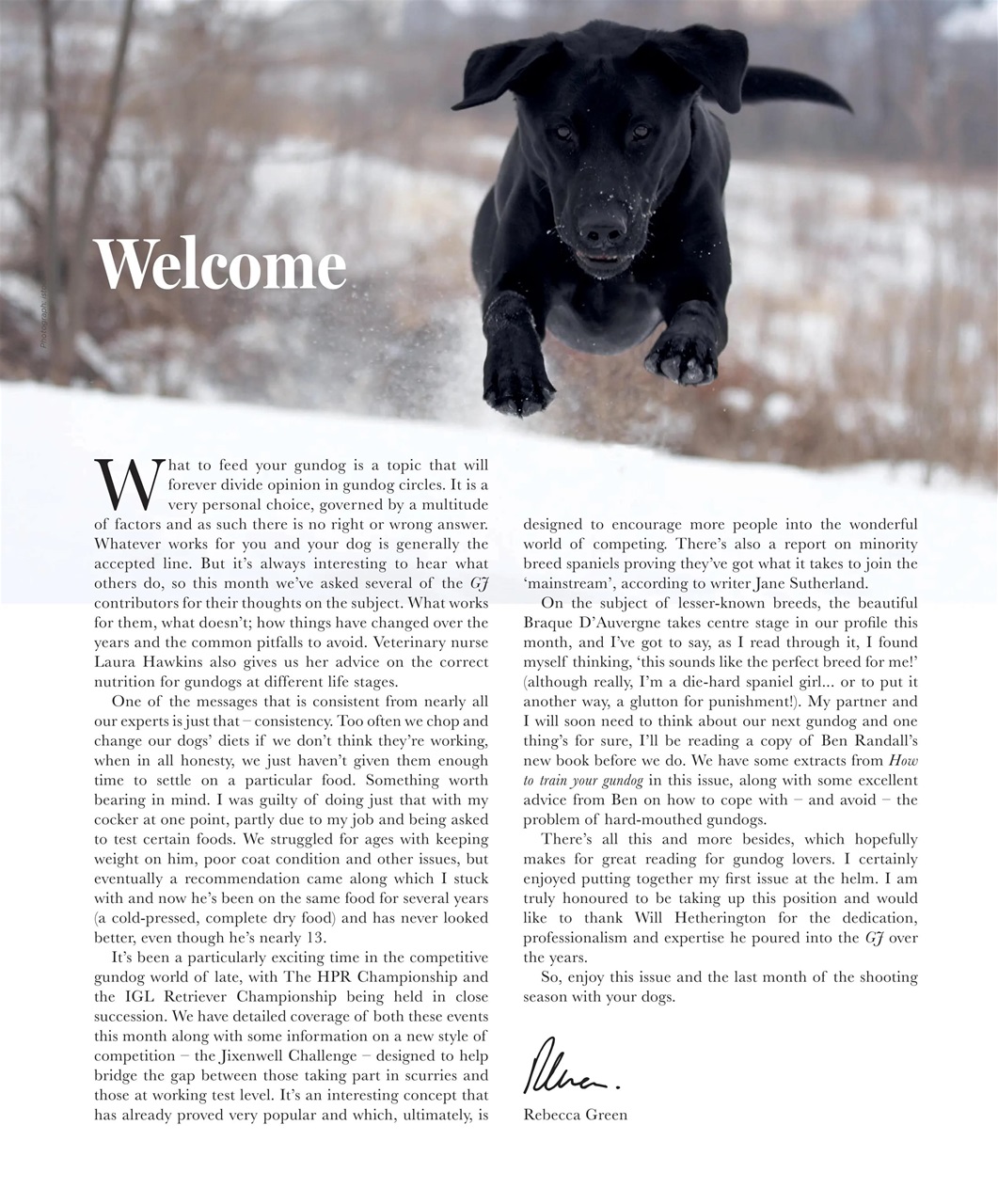 Gundog Journal Preview Pages