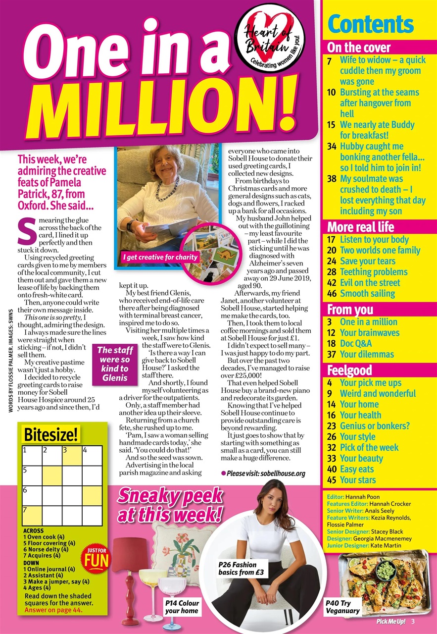 Pick Me Up Preview Pages