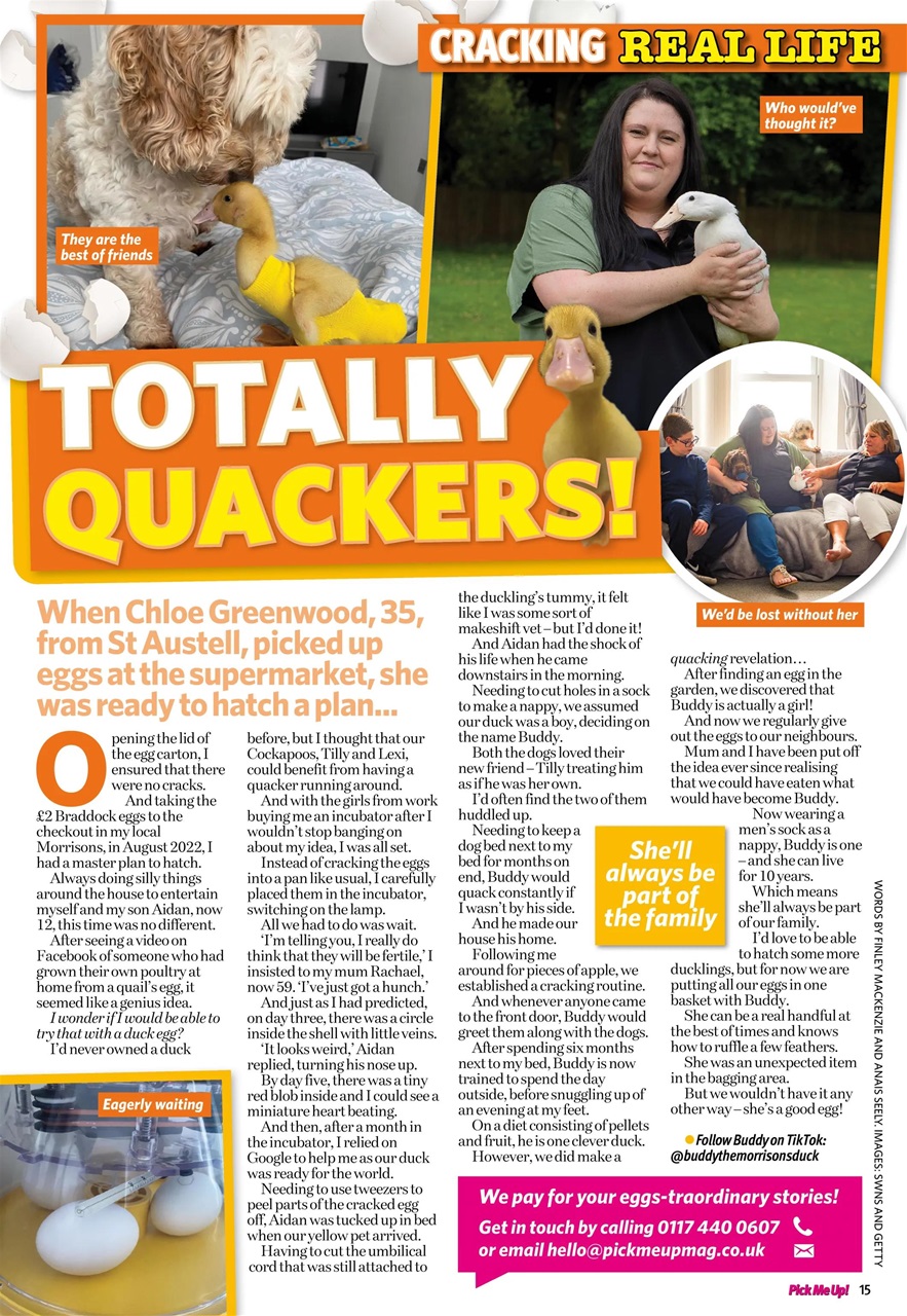 Pick Me Up Preview Pages