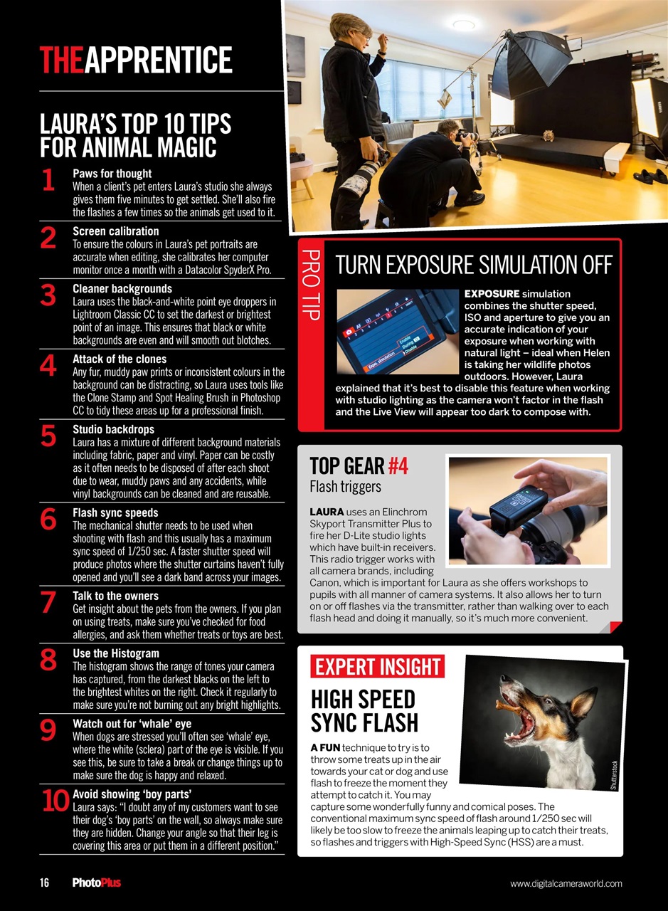 PhotoPlus Preview Pages