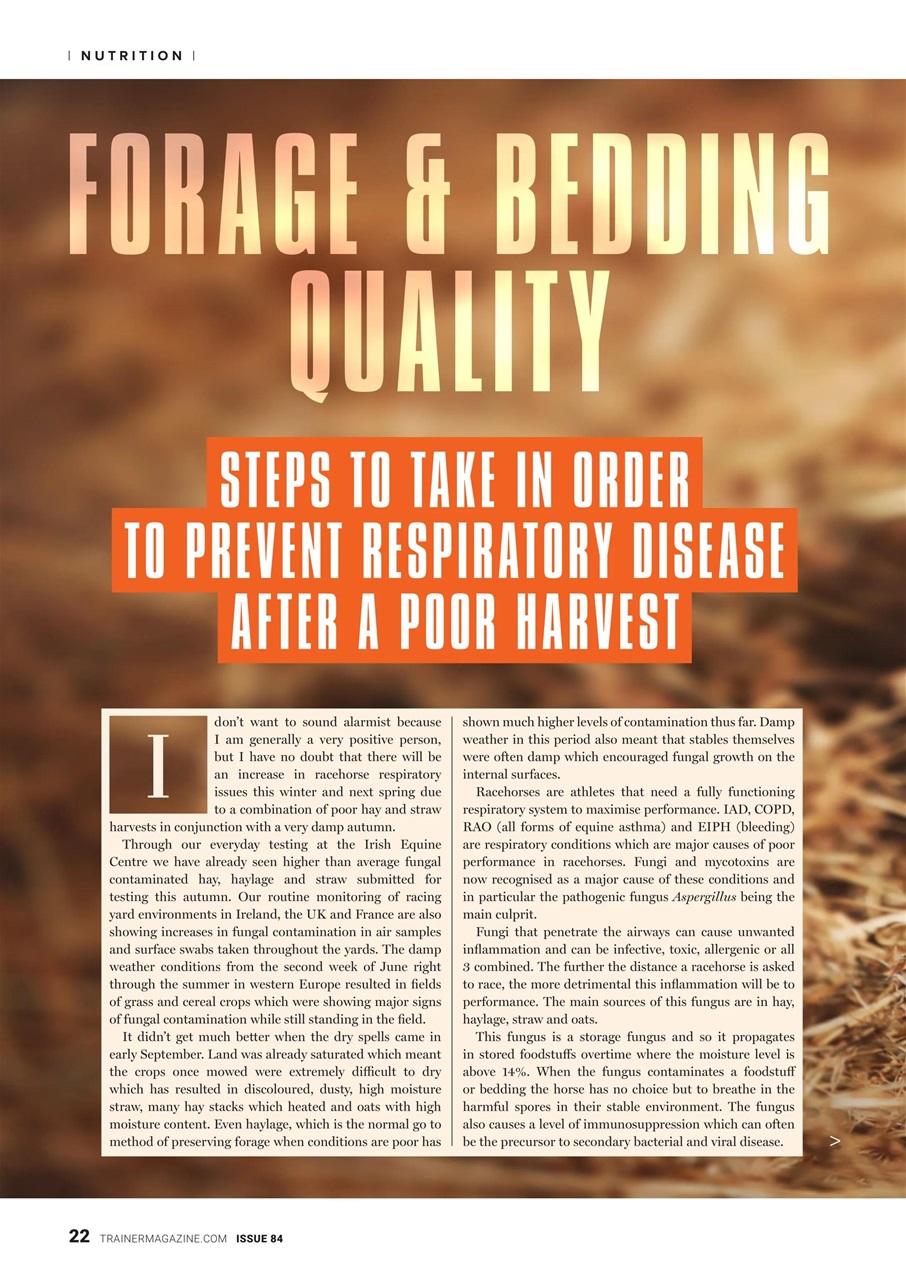 European Trainer Magazine - horse racing Preview Pages