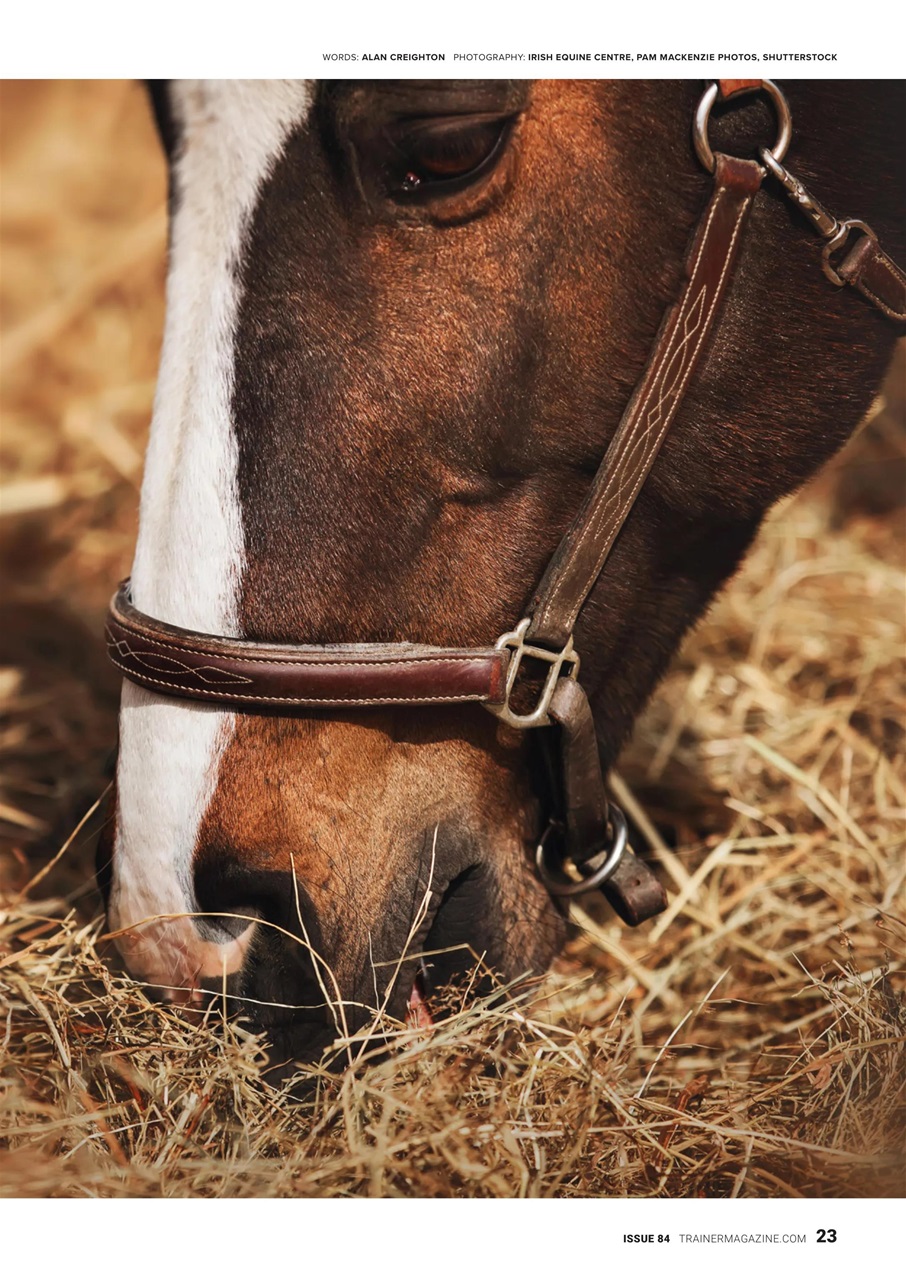 European Trainer Magazine - horse racing Preview Pages