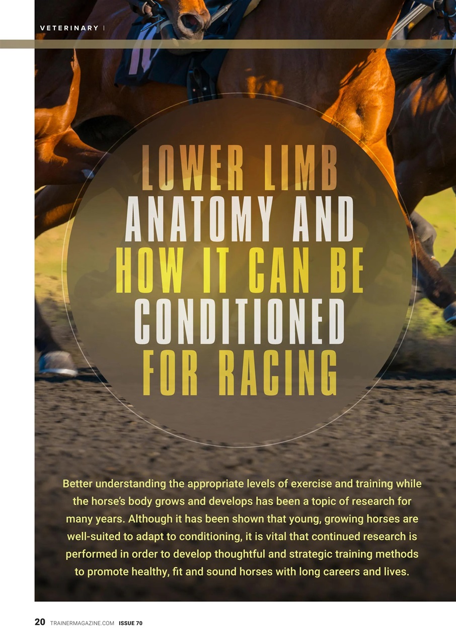 North American Trainer Magazine - horse racing Preview Pages