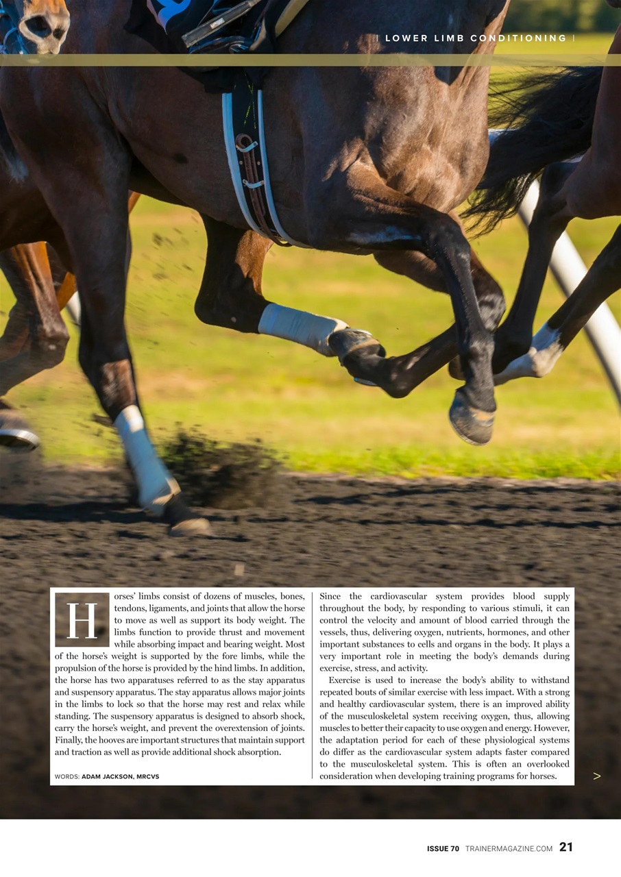 North American Trainer Magazine - horse racing Preview Pages