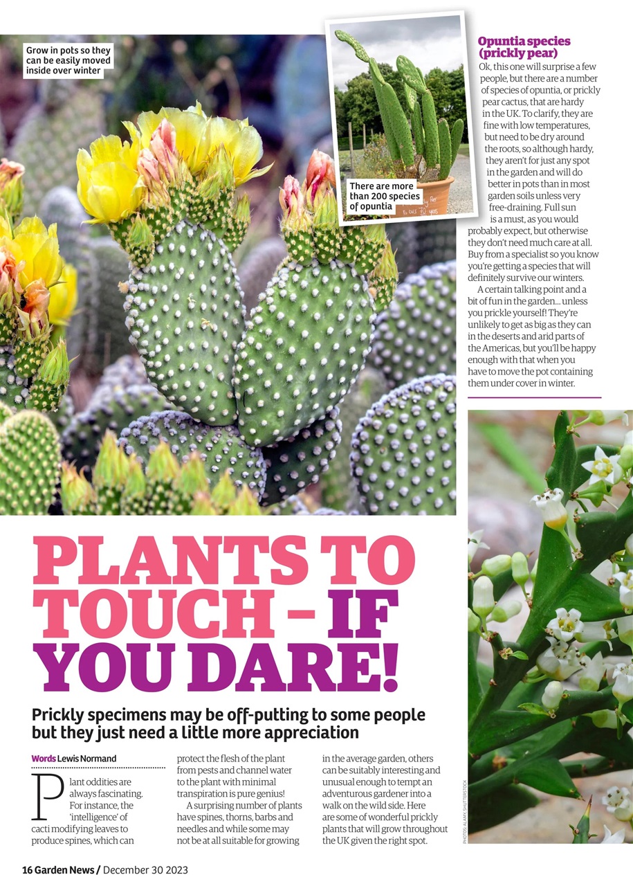 Garden News Preview Pages