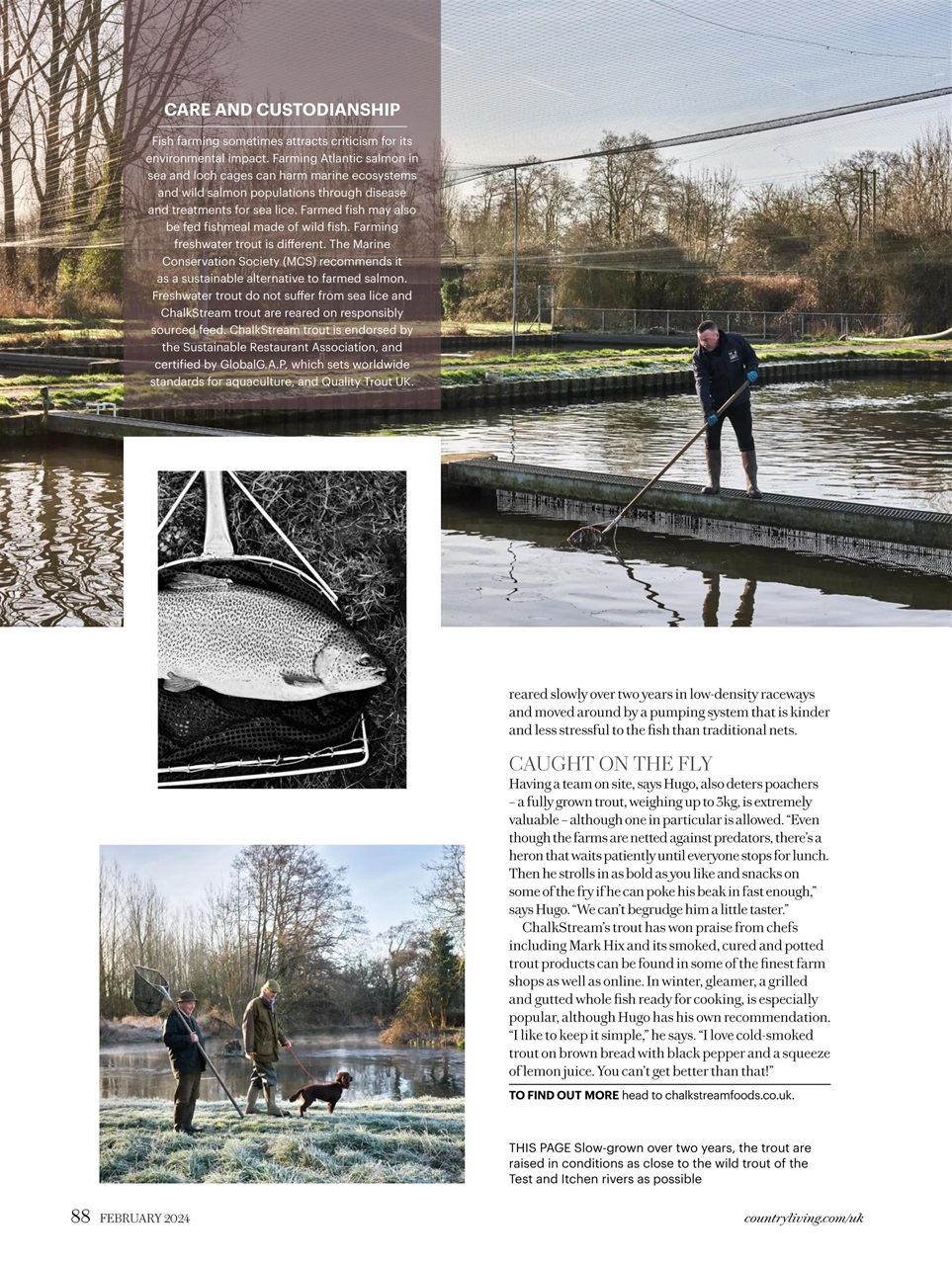 Country Living Preview Pages