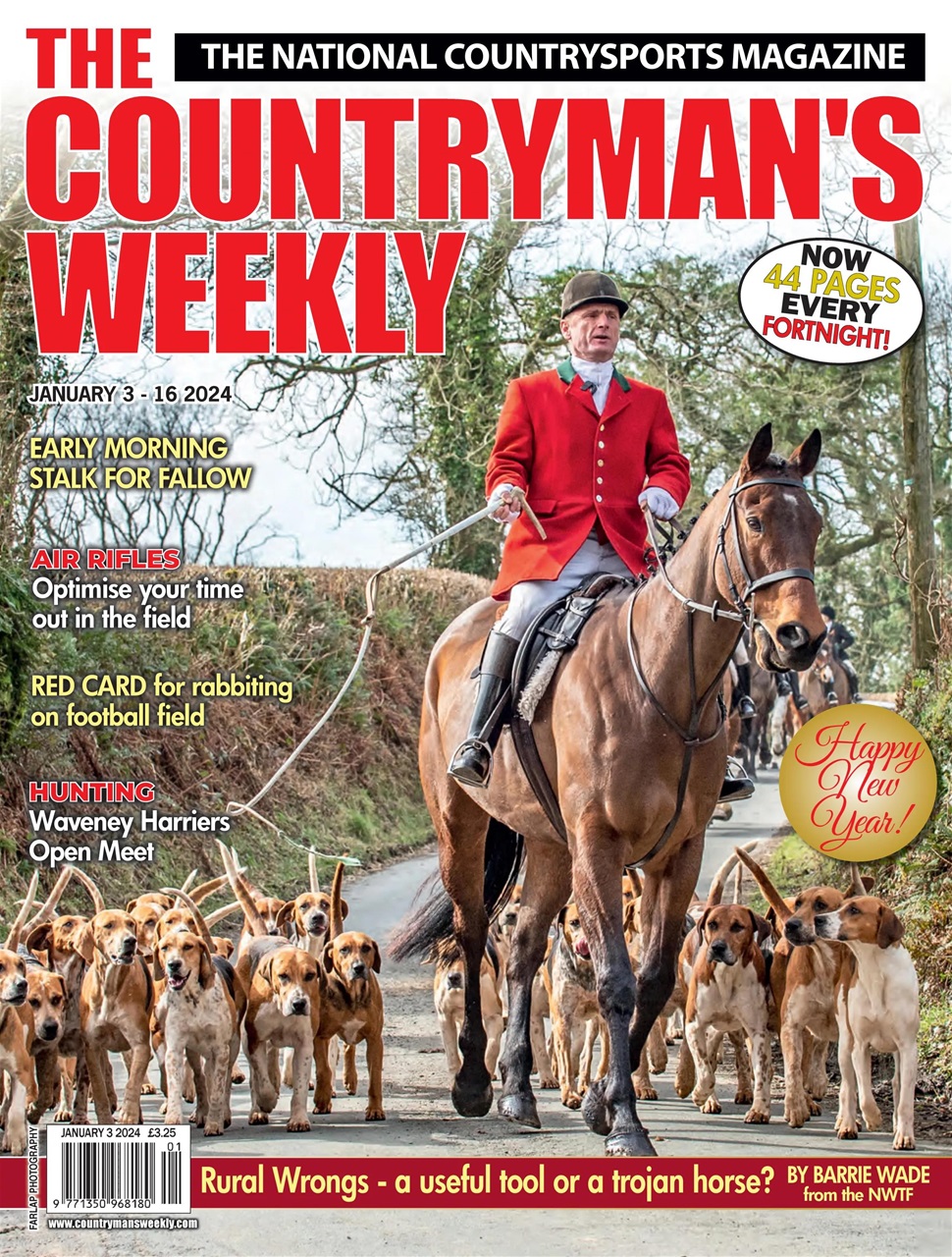 Countryman's Weekly Preview Pages