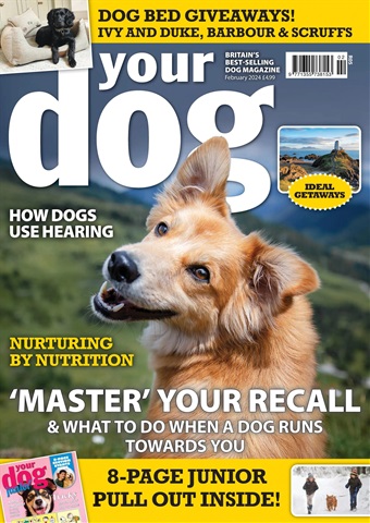 Your Dog issue February 2024
