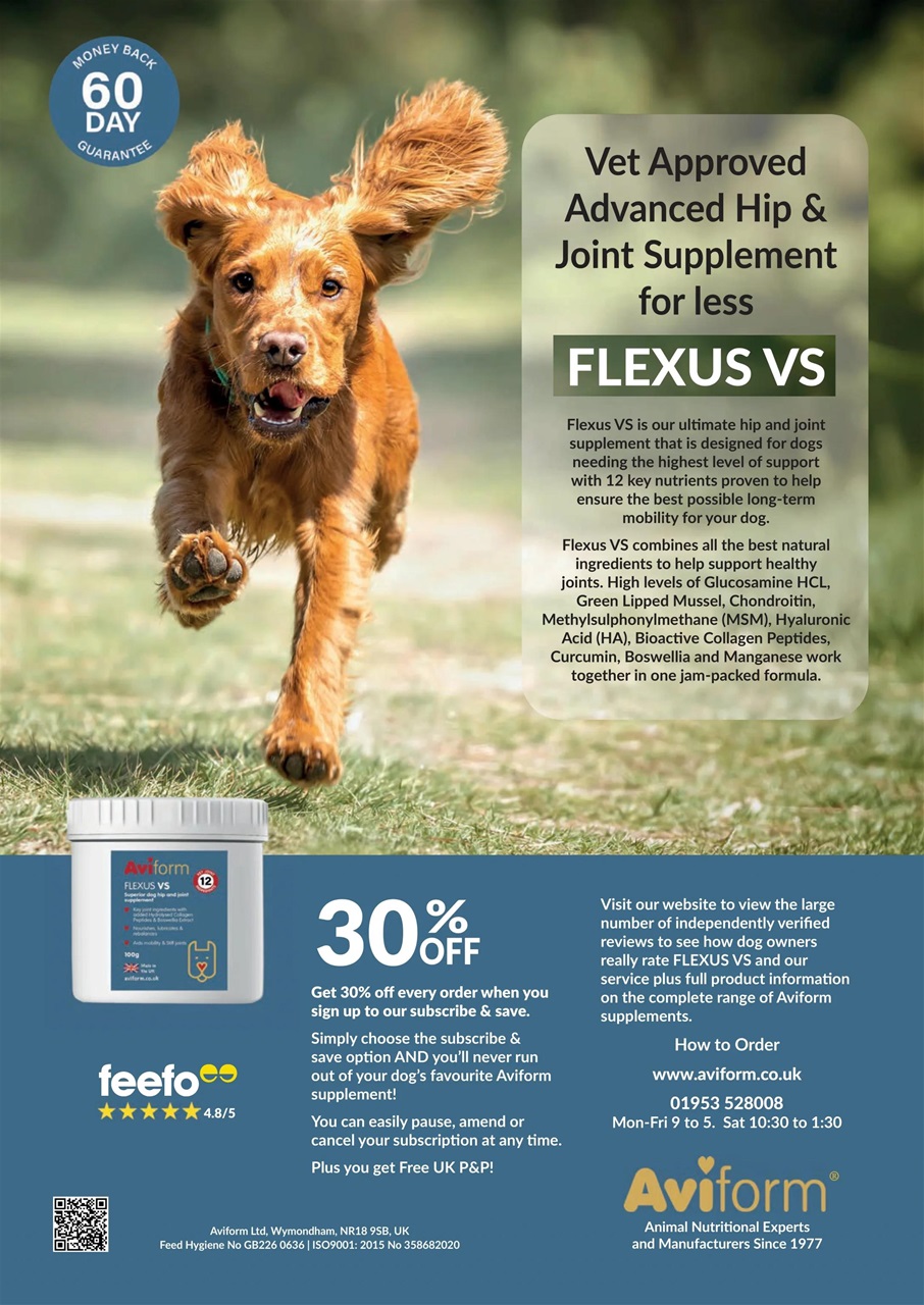 Your Dog Preview Pages