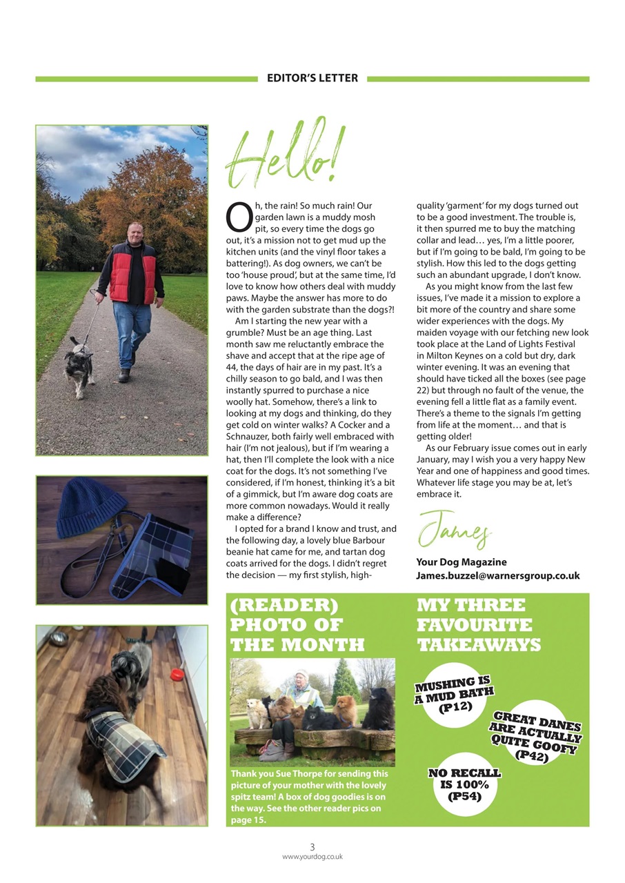 Your Dog Preview Pages