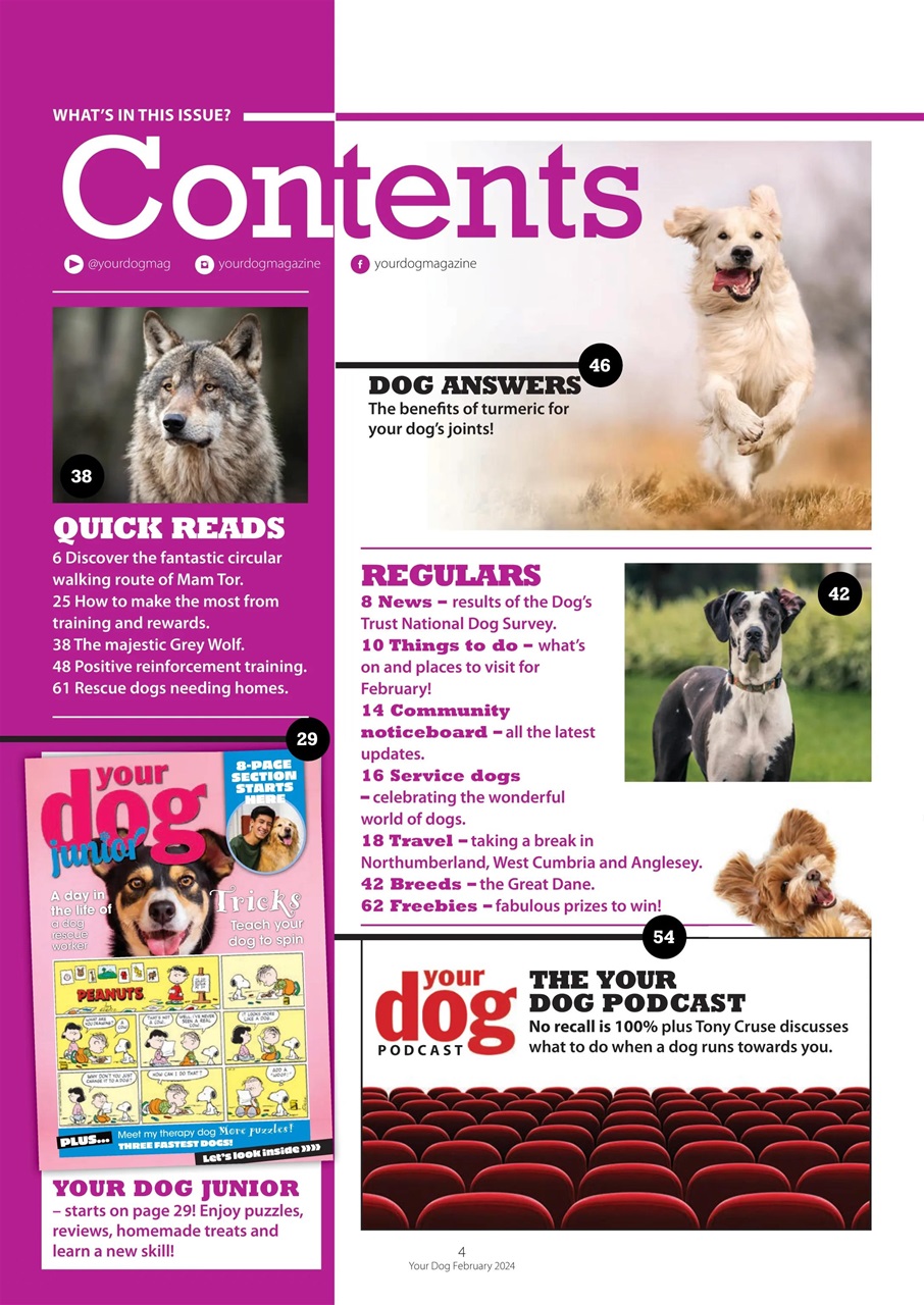 Your Dog Preview Pages
