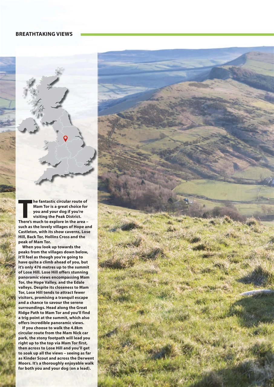 Your Dog Preview Pages