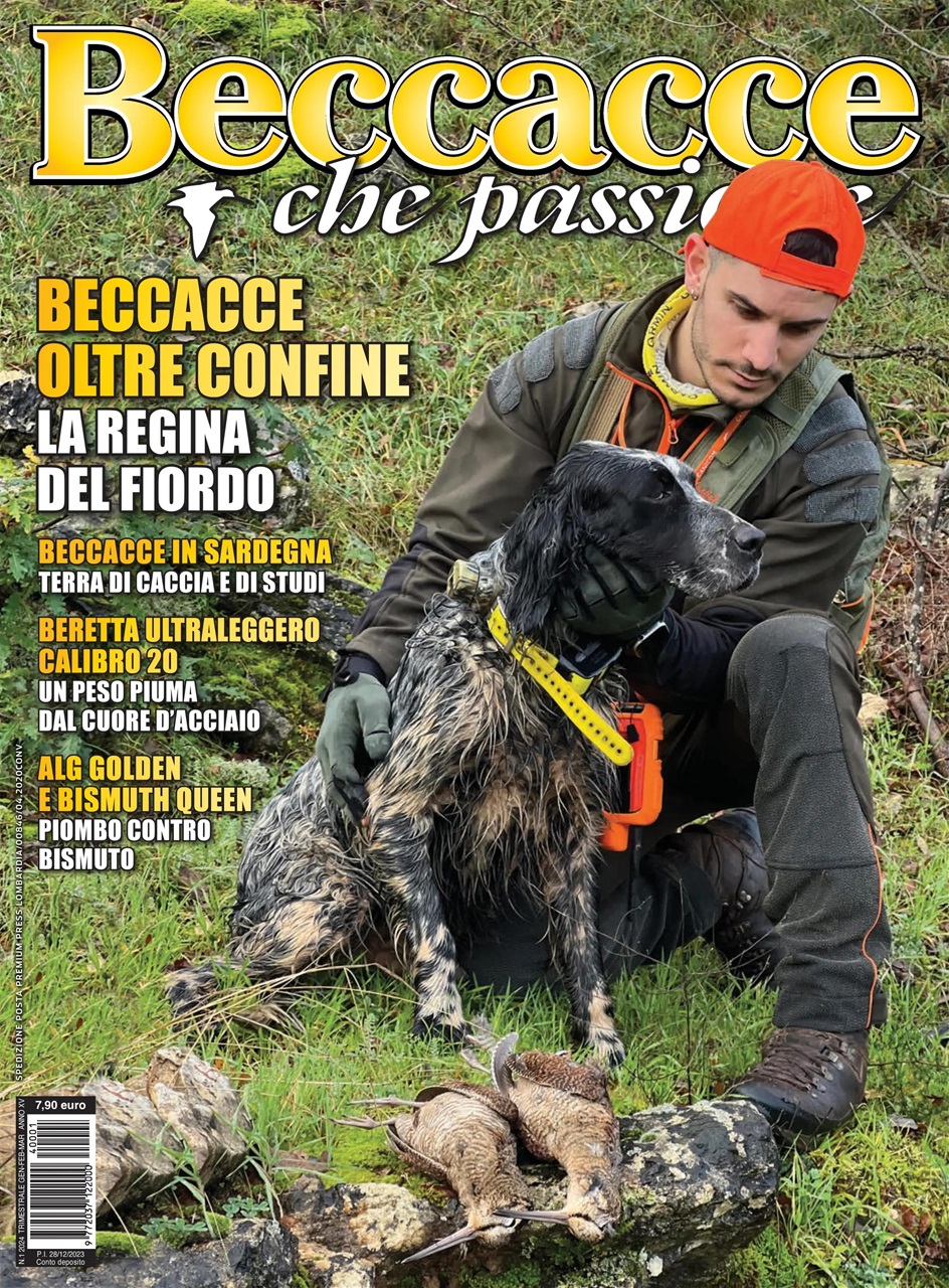 BECCACCE CHE PASSIONE Preview Pages