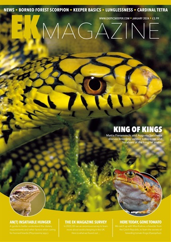 Exotics Keeper issue January 2024