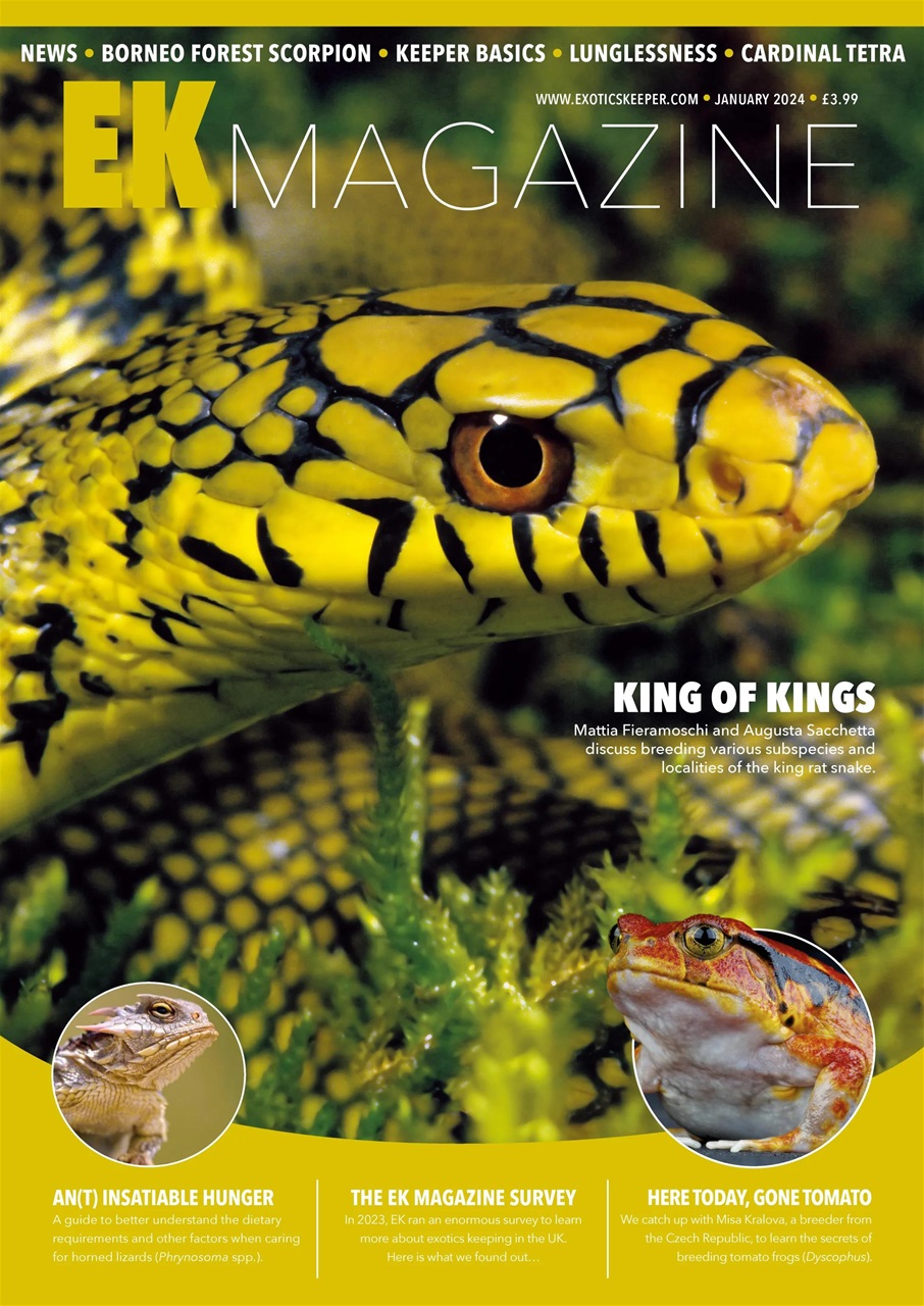 Exotics Keeper Preview Pages