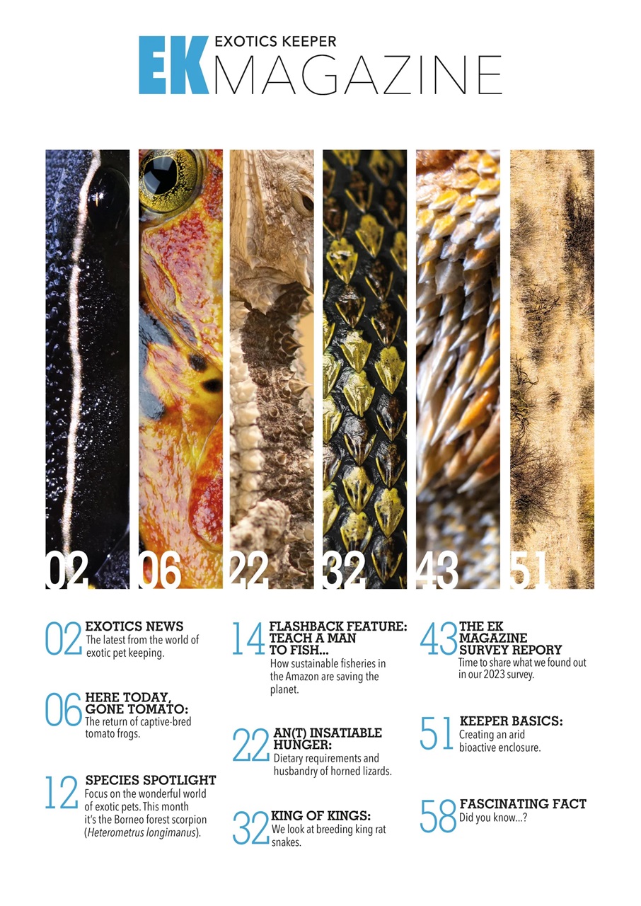 Exotics Keeper Preview Pages