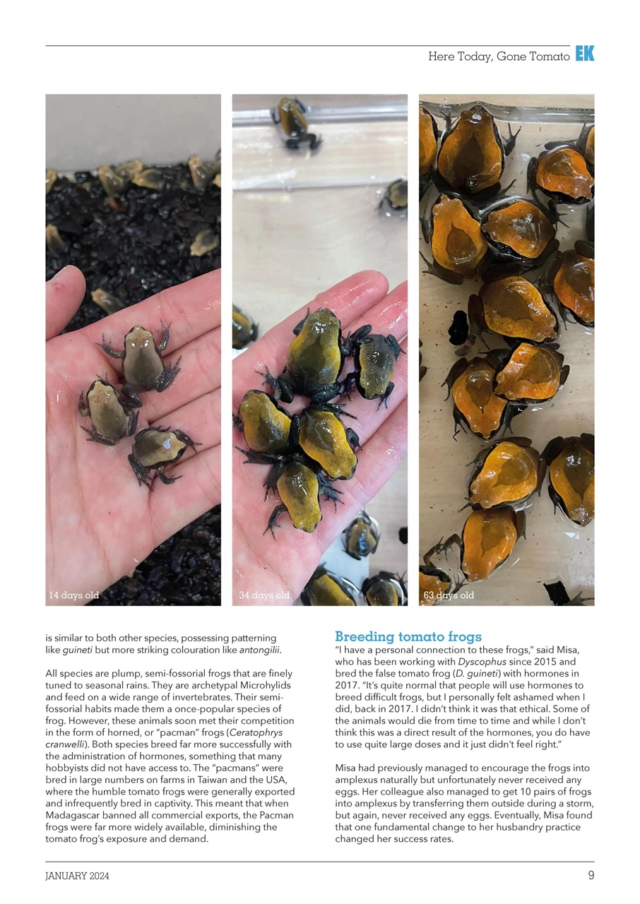 Exotics Keeper Preview Pages