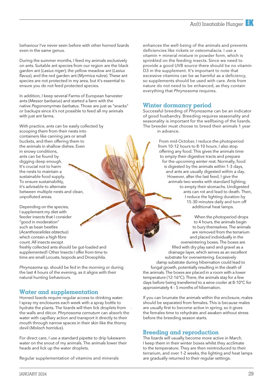 Exotics Keeper Preview Pages