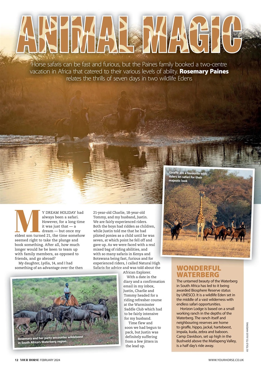 Your Horse Preview Pages