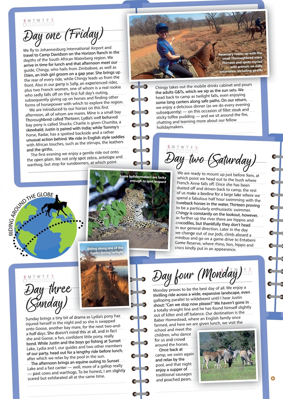 Your Horse Preview Pages