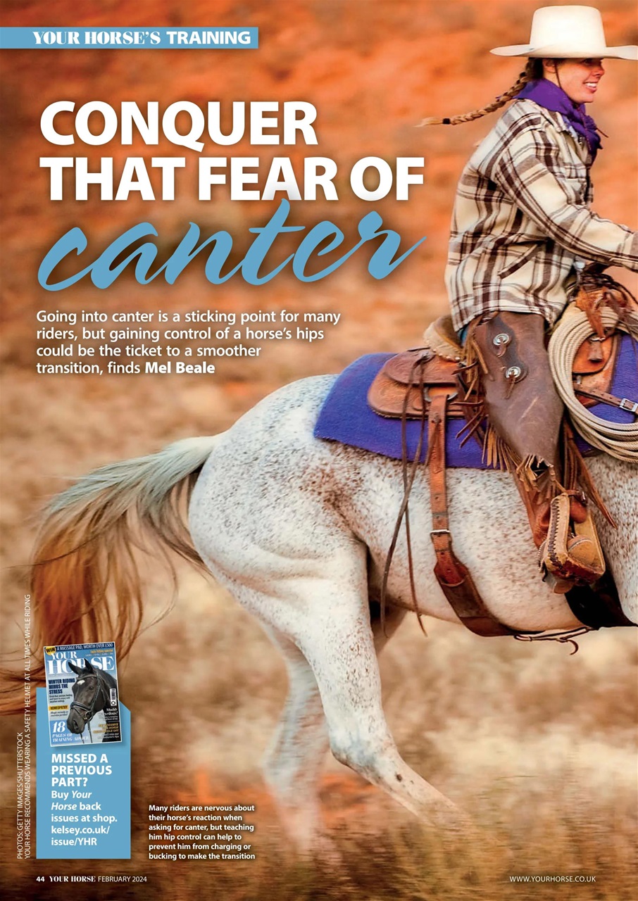 Your Horse Preview Pages