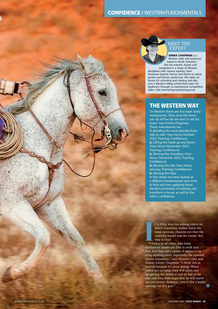 Your Horse Preview Pages