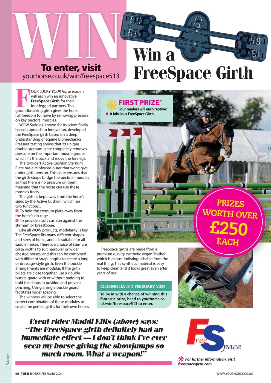 Your Horse Preview Pages