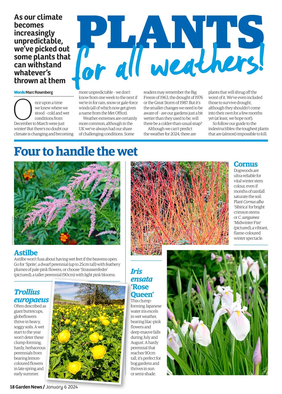 Garden News Preview Pages