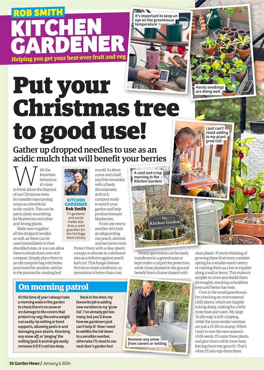 Garden News Preview Pages