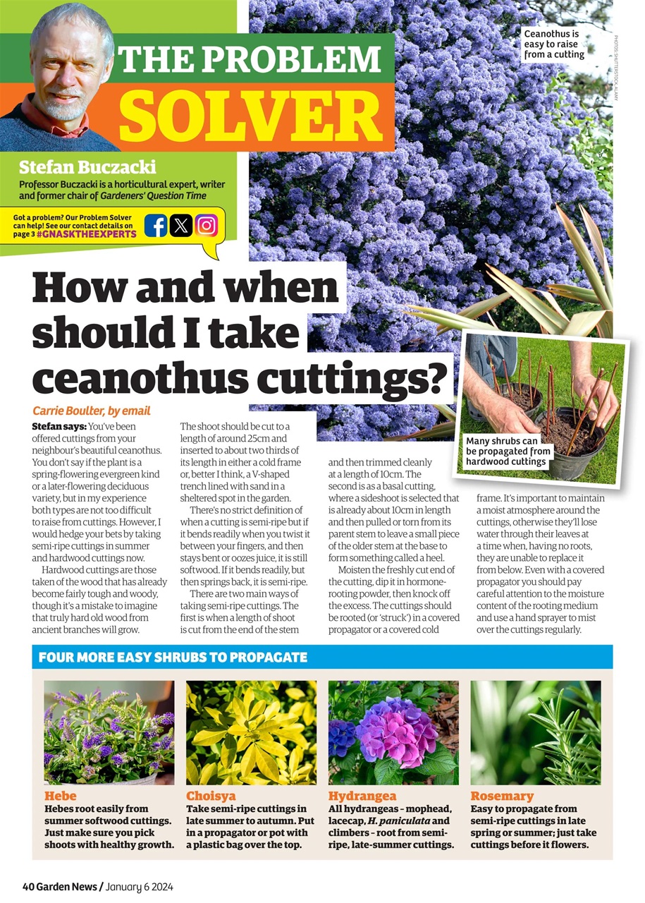 Garden News Preview Pages