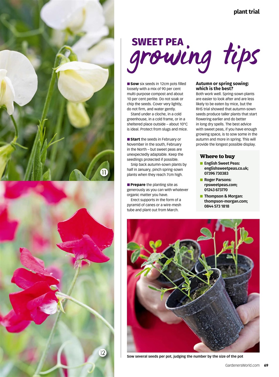 BBC Gardeners’ World Magazine Preview Pages