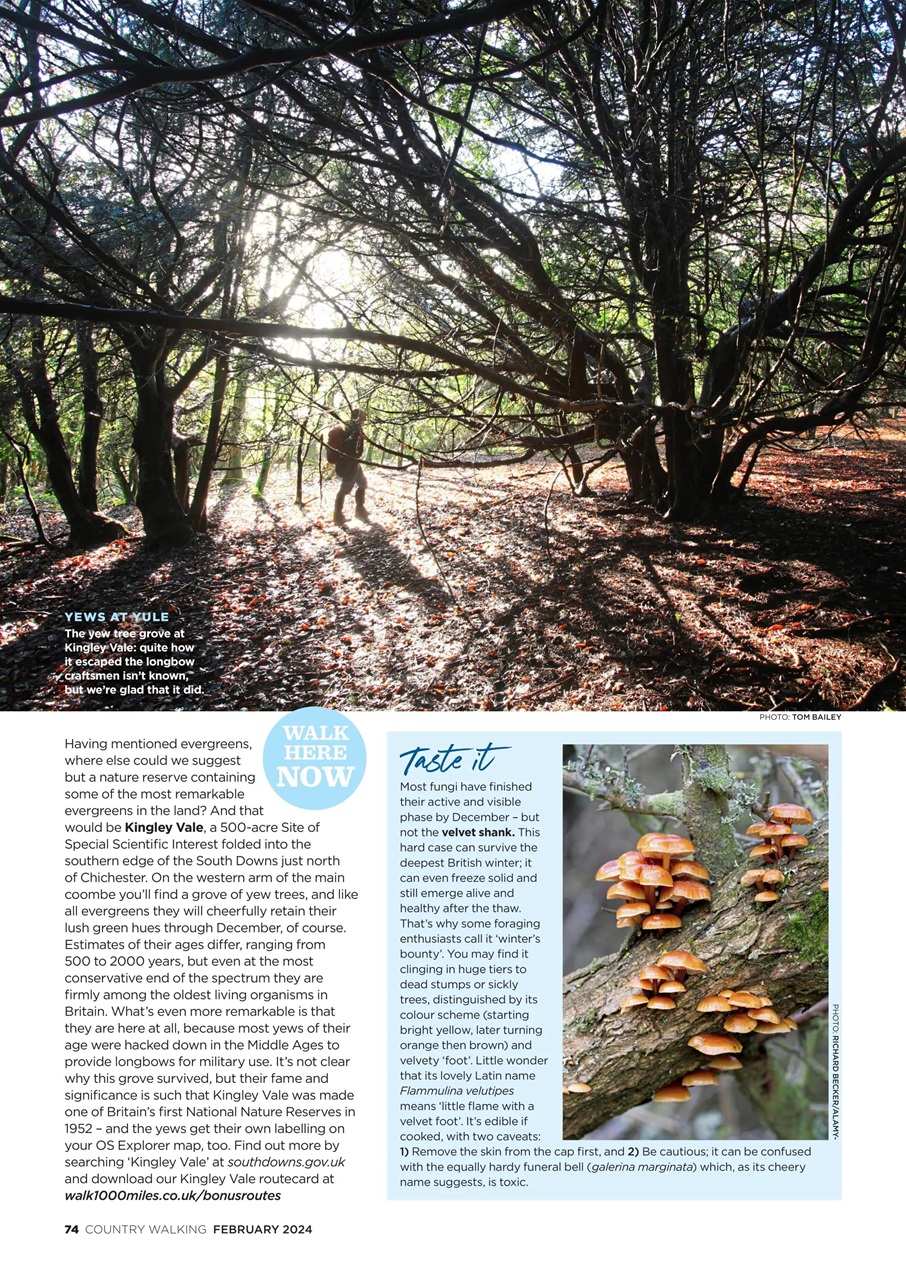 Country Walking Preview Pages